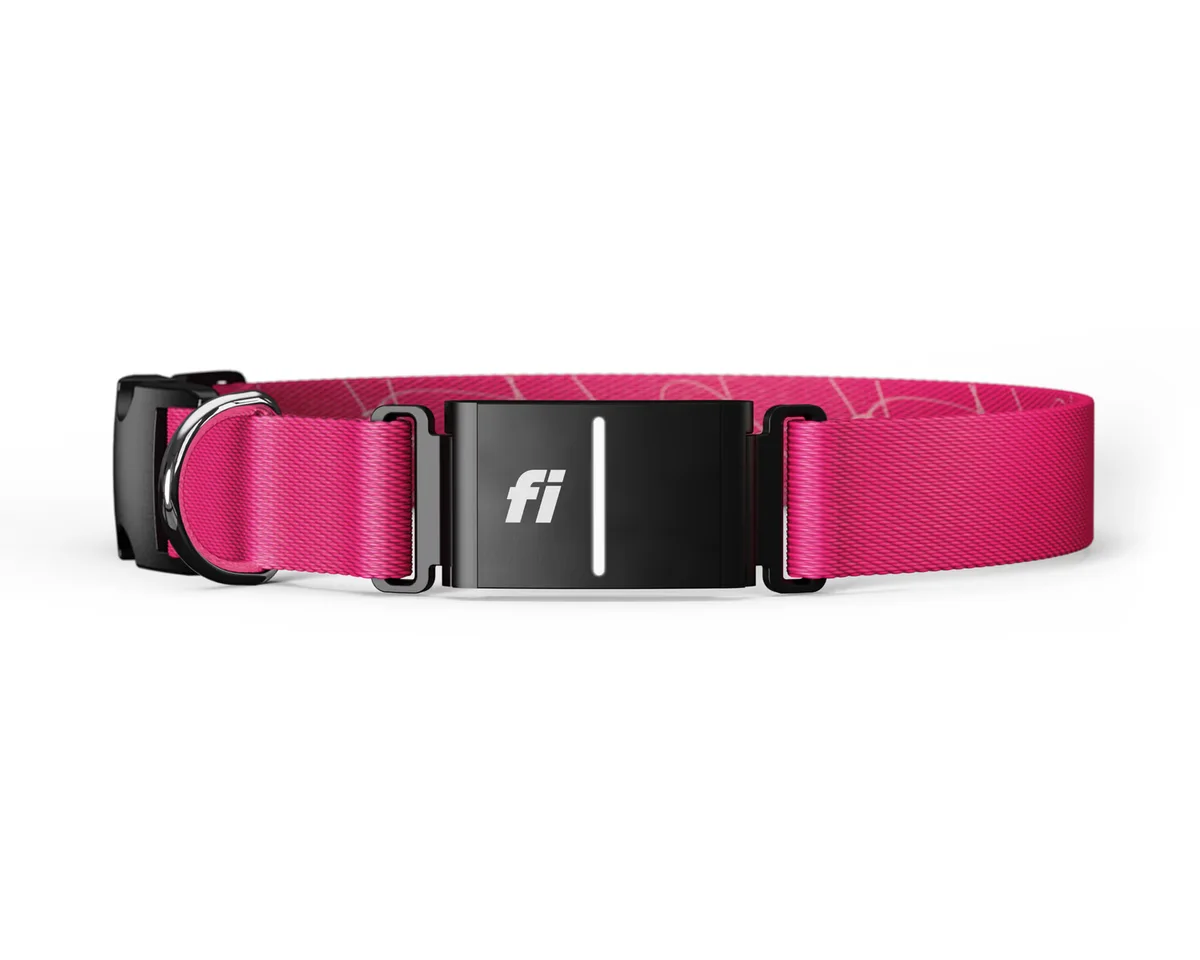 Pink Fi Series 3+ collar with integrated tracker module and buckle